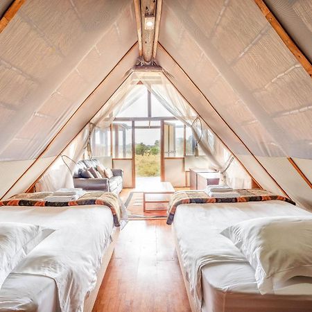 Buffelshoek Tented Camp Rizab Memburu Manyeleti Luaran gambar