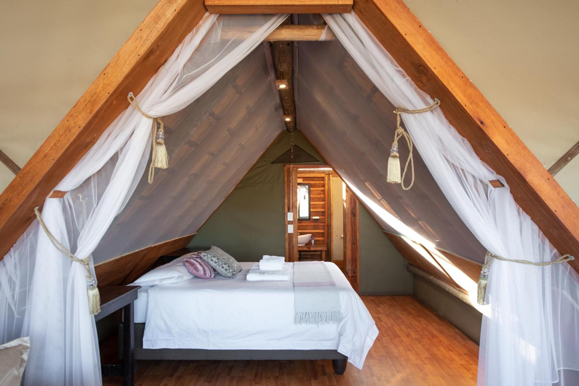 Buffelshoek Tented Camp Rizab Memburu Manyeleti Bilik gambar