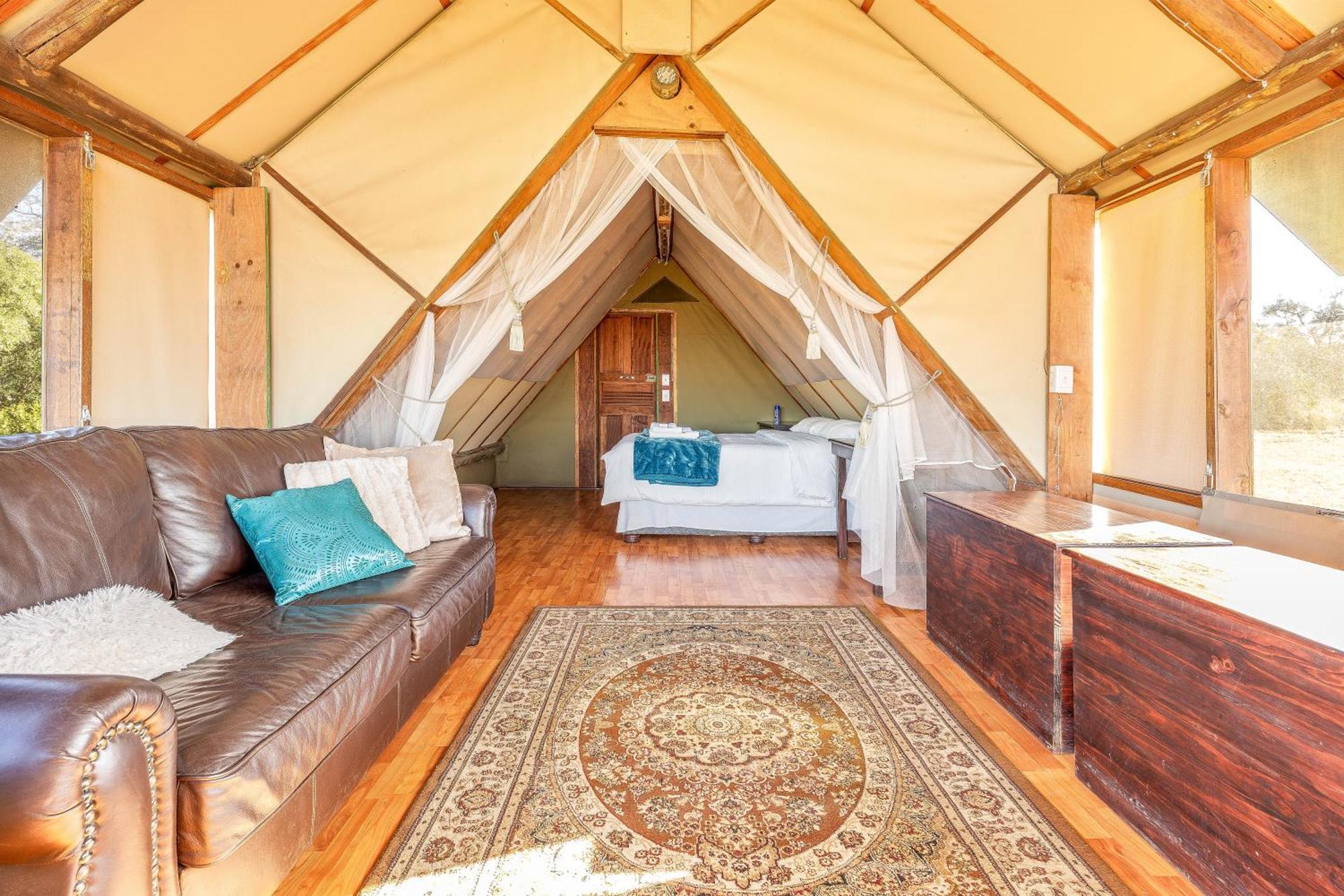 Buffelshoek Tented Camp Rizab Memburu Manyeleti Luaran gambar