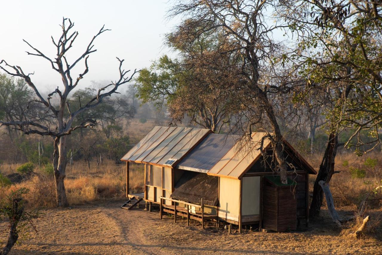 Buffelshoek Tented Camp Rizab Memburu Manyeleti Luaran gambar