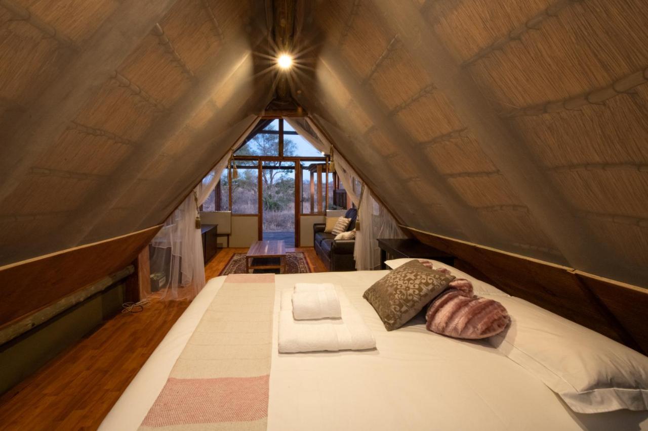 Buffelshoek Tented Camp Rizab Memburu Manyeleti Luaran gambar